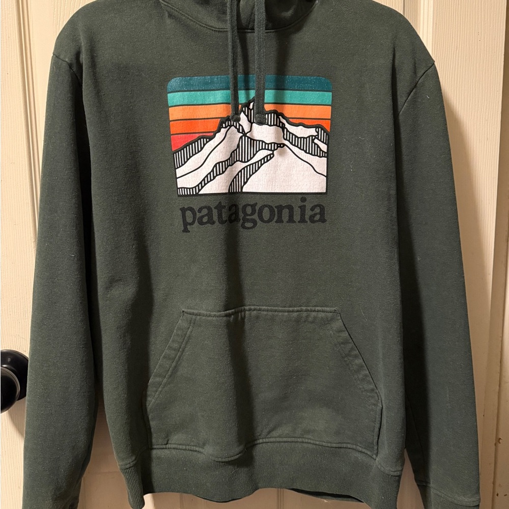 Patagonia Green Sweatshirt with Mountain Graphic